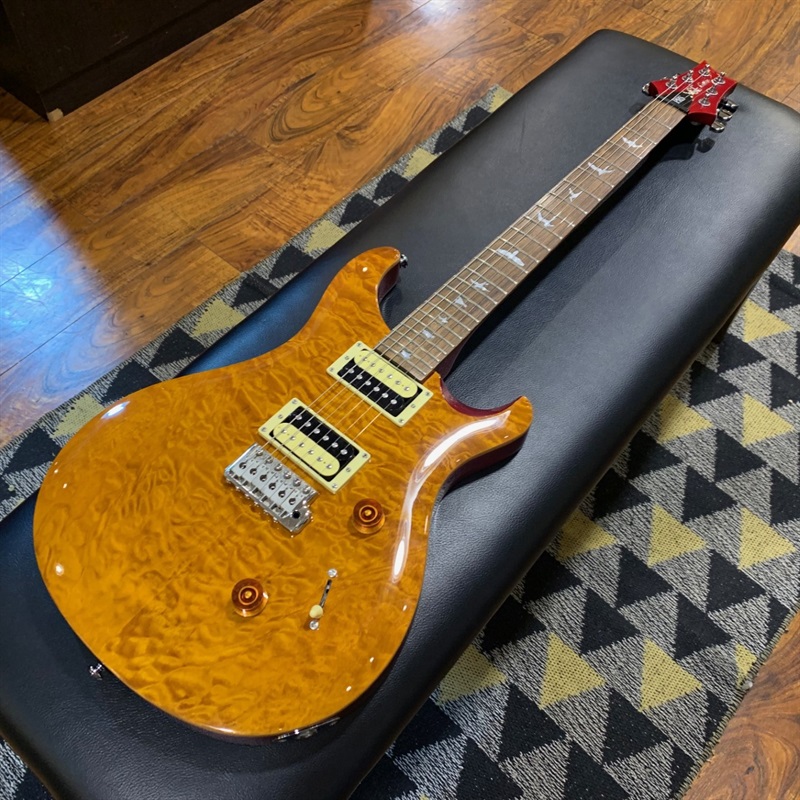 P.R.S. SEcustom24 (VY/QT)の画像